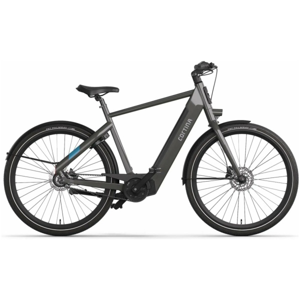 Fiets E-Blau Grijs